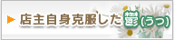 �X�厩�g���������T